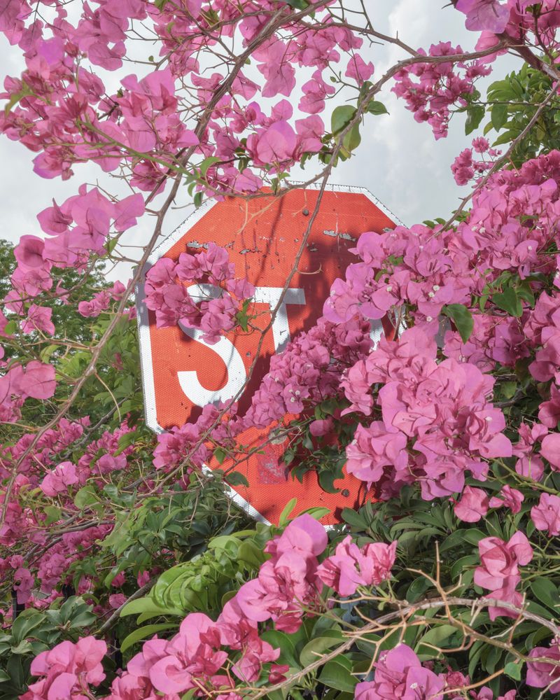 © Anton Bou - Still I