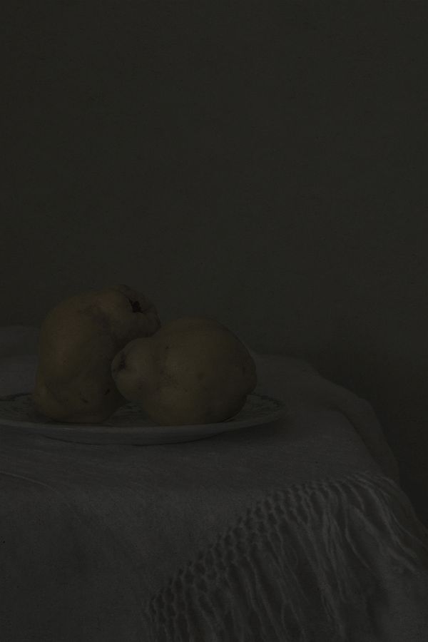 Image from a project on PhMuseum
