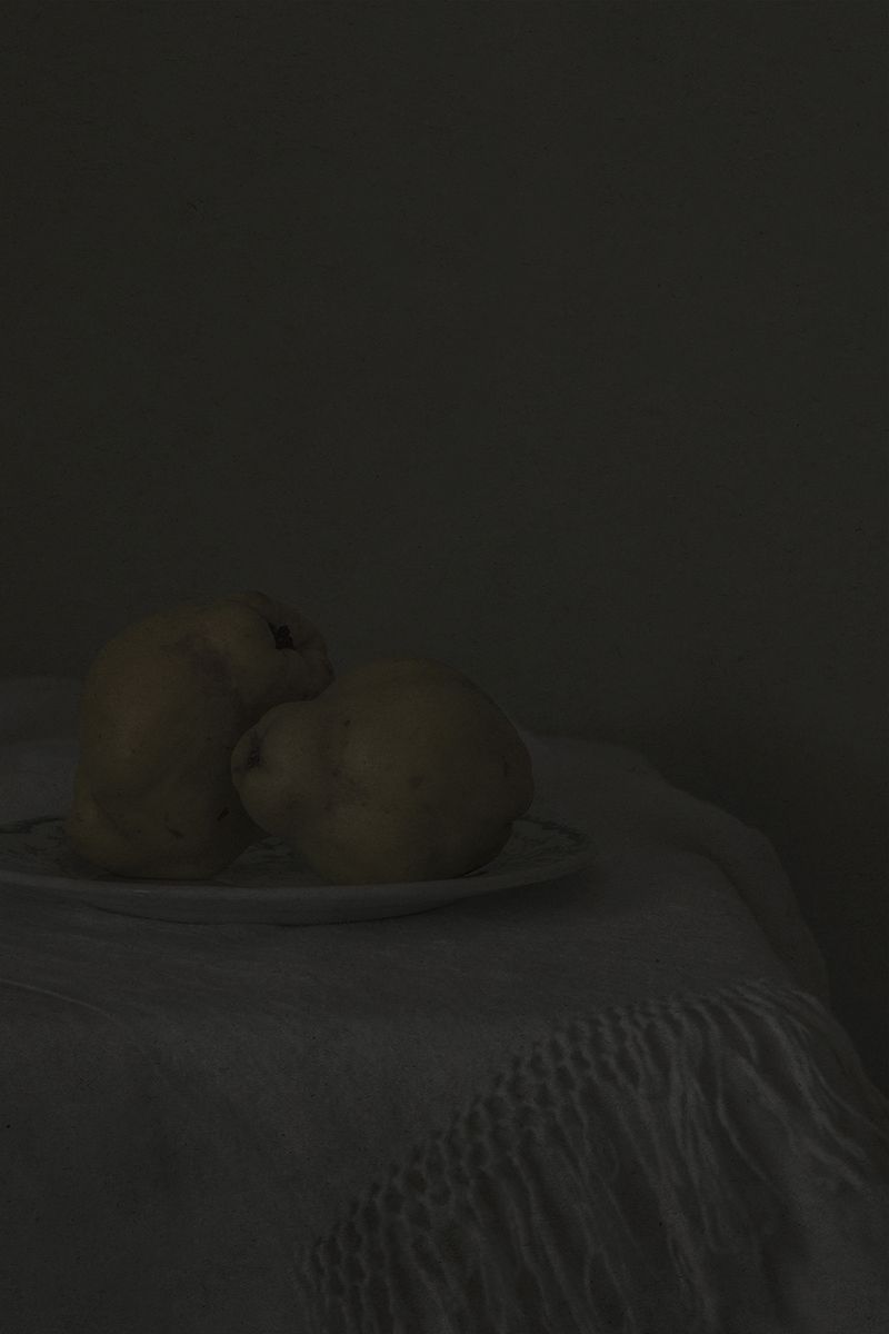 Image from a project on PhMuseum