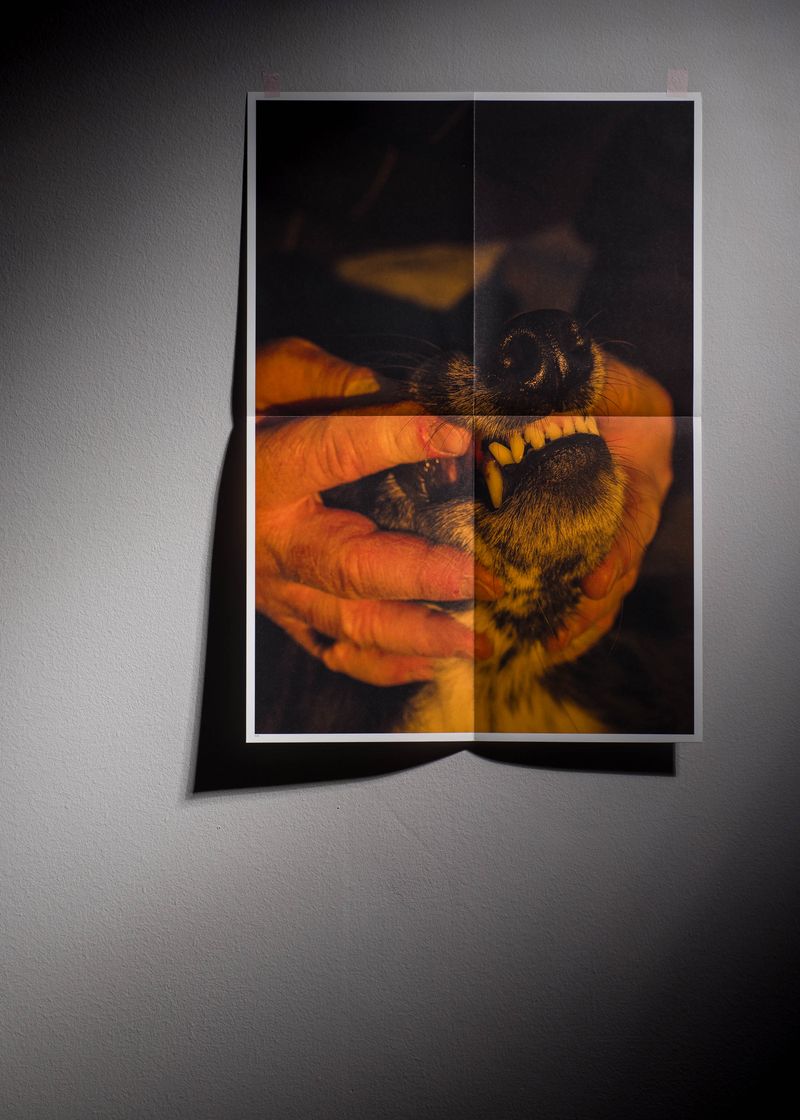 Image from a project on PhMuseum