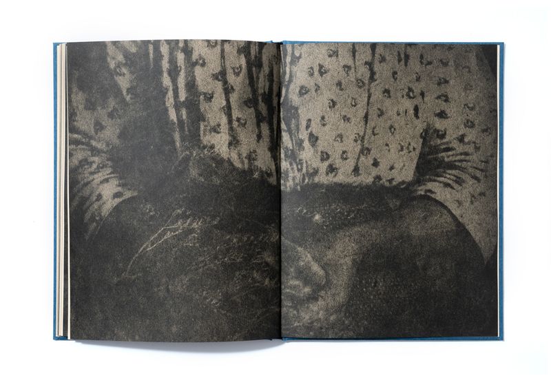 Image from a project on PhMuseum