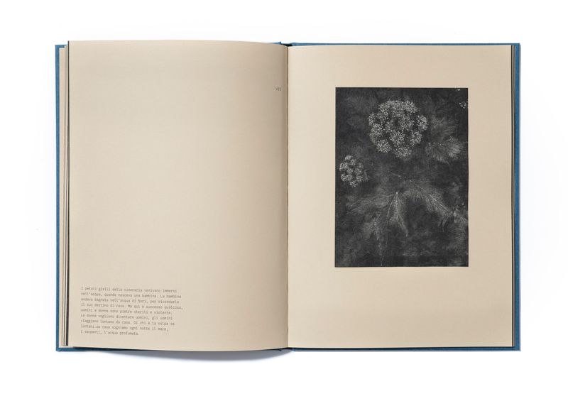 Image from a project on PhMuseum