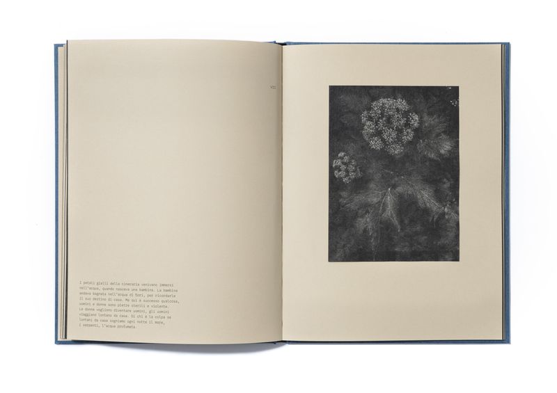 Image from a project on PhMuseum