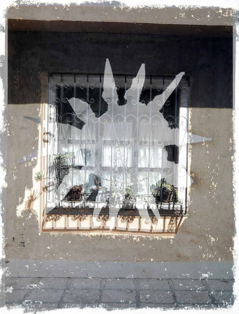 © Kristina Cordon - PEELED WINDOW