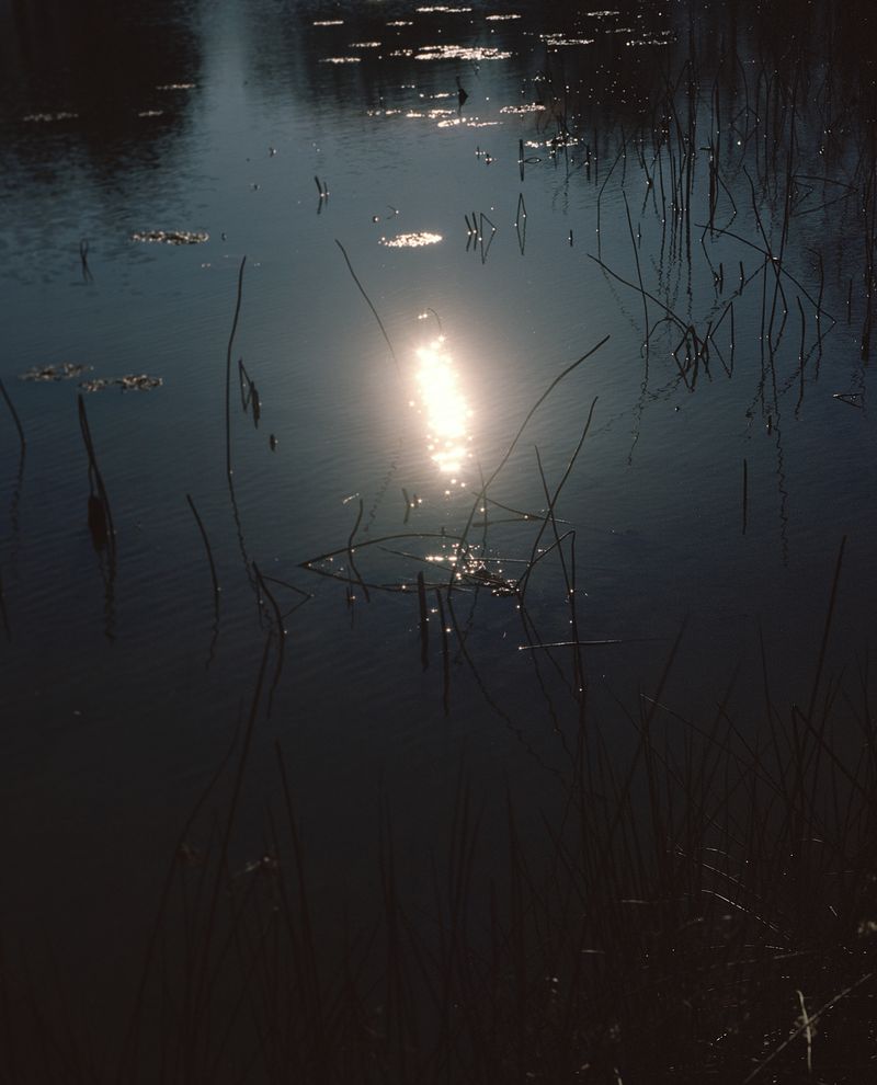 © Jasmine Huang - 日. Archival Inkjet Print. 11" x 14." 2024.