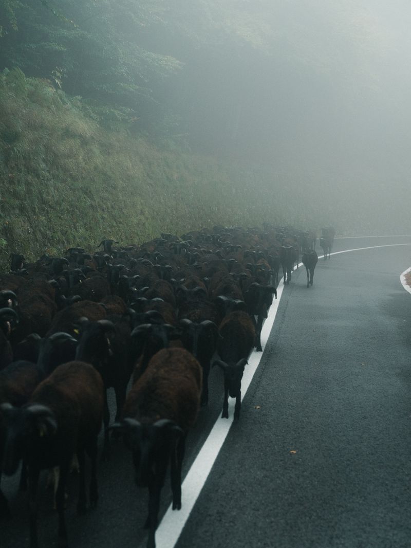 © Nils Böddingmeier - Image from the Montagna Sacra photography project