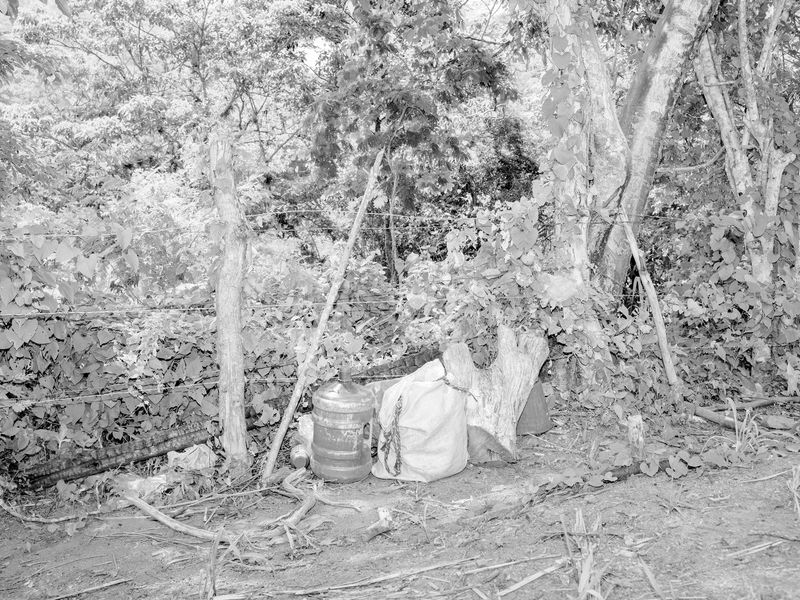 © Alba Serra & Cristobal Ascencio - Image from the Maiz photography project