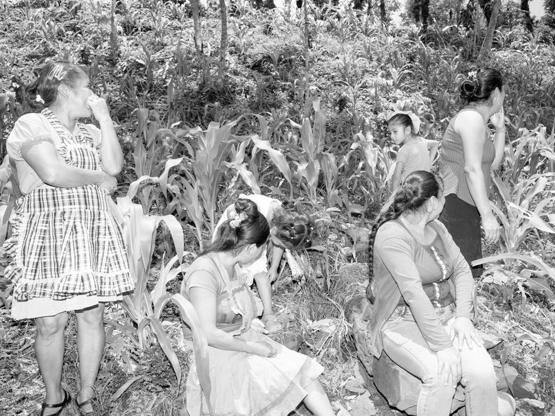 © Alba Serra & Cristobal Ascencio - Image from the Maiz photography project