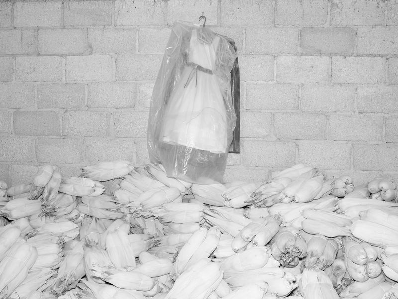 © Alba Serra & Cristobal Ascencio - Image from the Maiz photography project