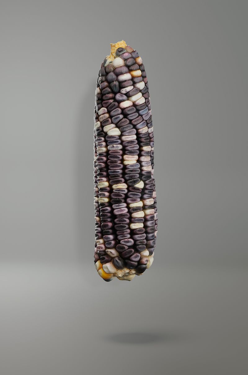 © Alba Serra & Cristobal Ascencio - Image from the Maiz photography project