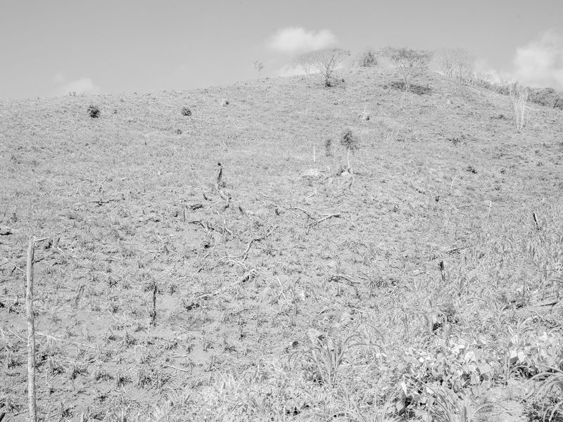 © Alba Serra & Cristobal Ascencio - MAIZ by Cristobal Ascencio & Alba Serra