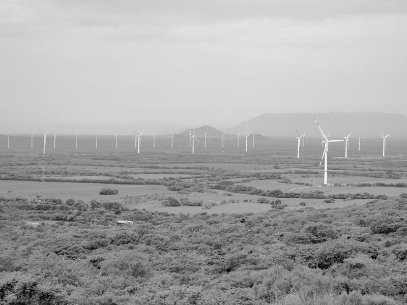 © Alba Serra & Cristobal Ascencio - Image from the Maiz photography project