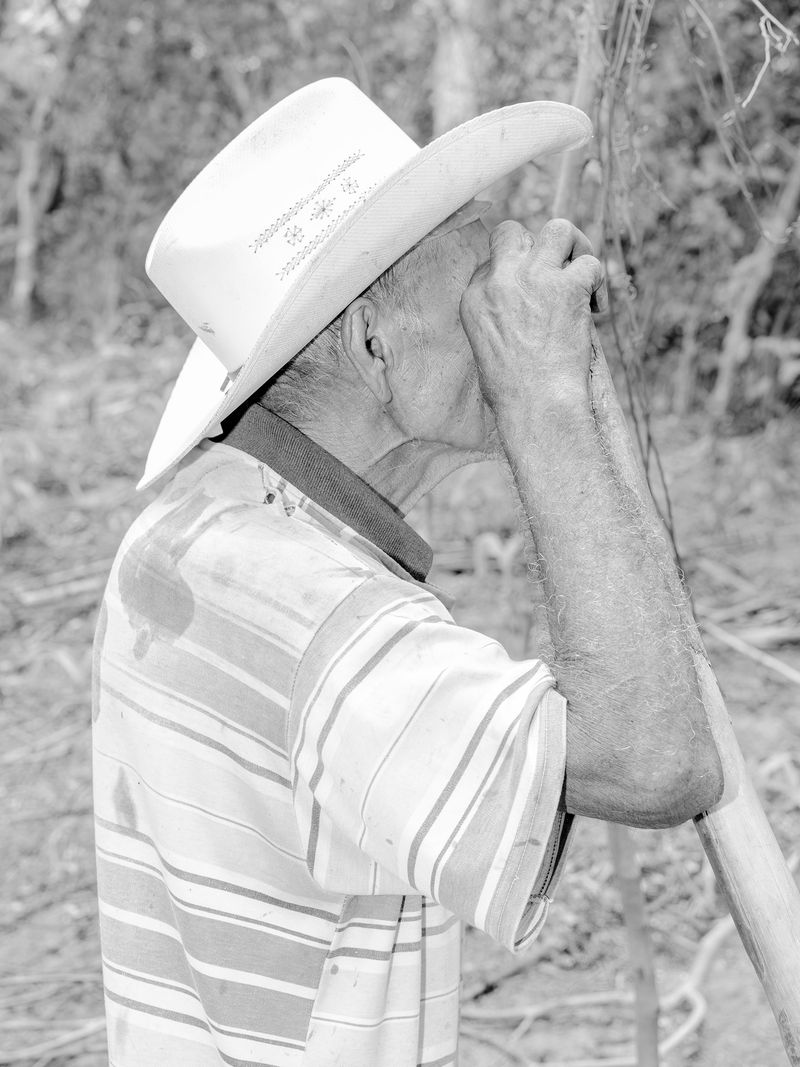 © Alba Serra & Cristobal Ascencio - Image from the Maiz photography project