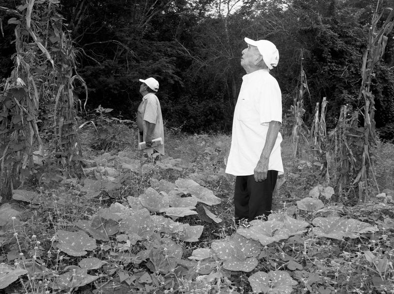 © Alba Serra & Cristobal Ascencio - Image from the Maiz photography project