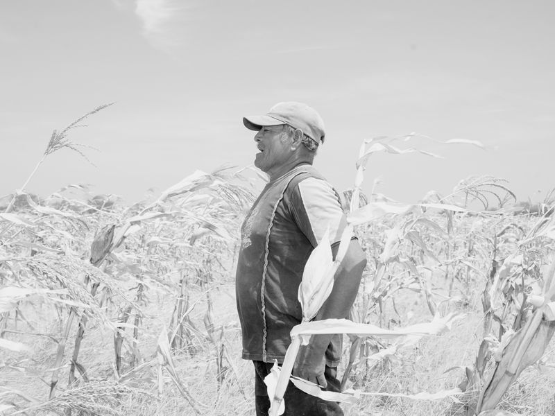 © Alba Serra & Cristobal Ascencio - Image from the Maiz photography project