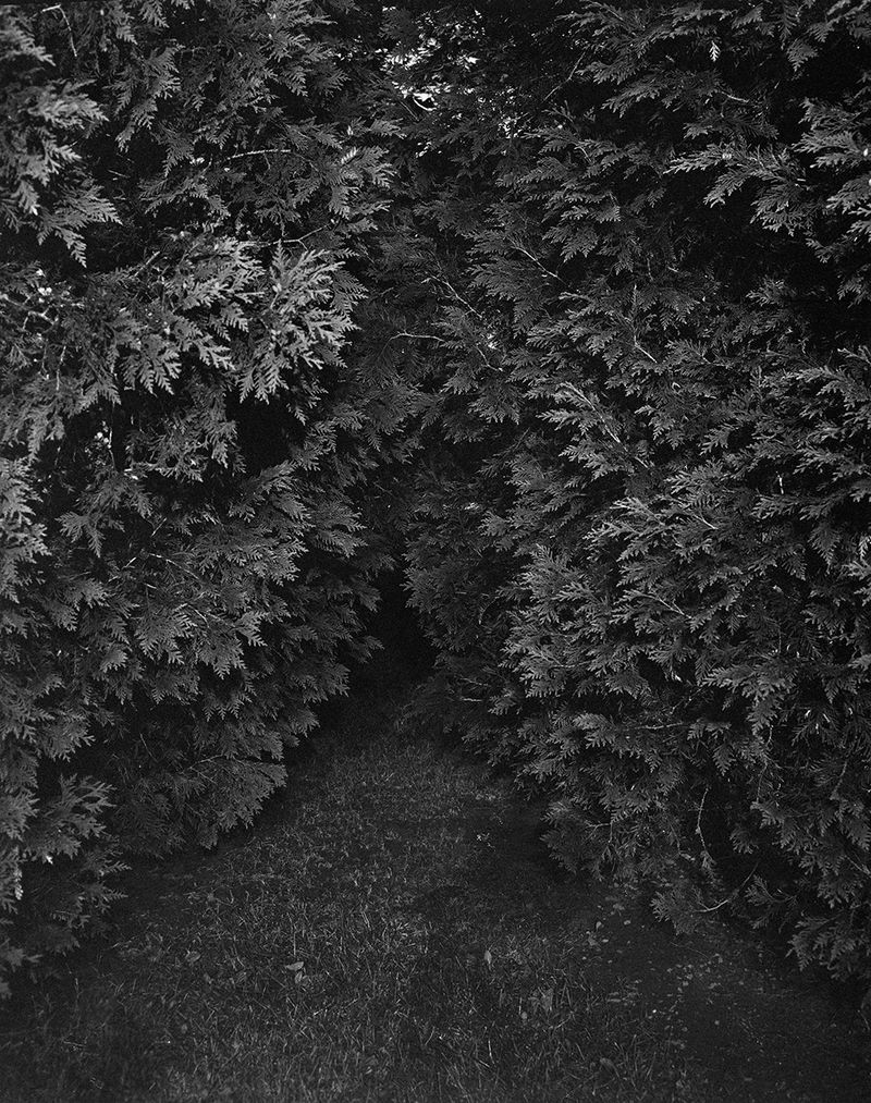 © Dylan Hausthor - My Finger Joints Are Too Cold