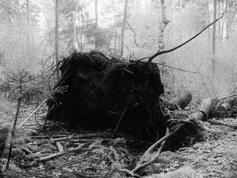 © Dylan Hausthor - I Live At The End Of This Road