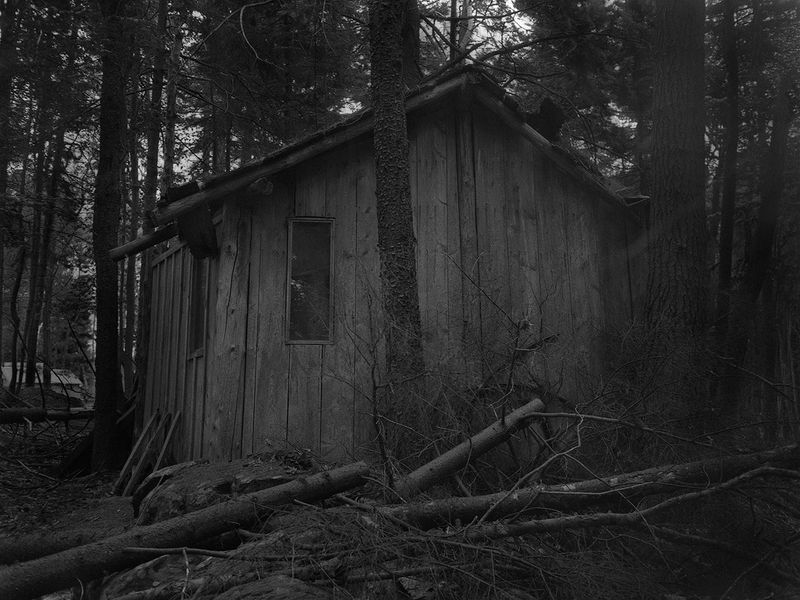 © Dylan Hausthor - Blinking