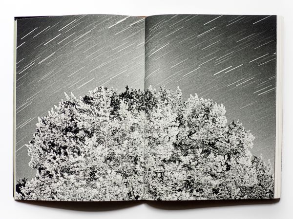 © Jean-Marc Caimi & Valentina Piccinni - Image from the Umana Natura photography project