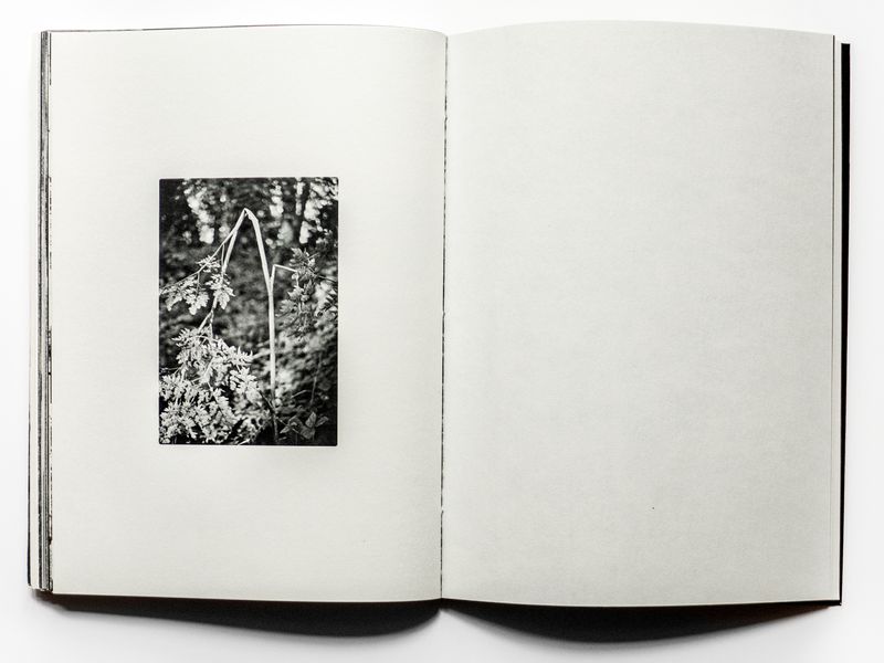 © Jean-Marc Caimi & Valentina Piccinni - Image from the Umana Natura photography project