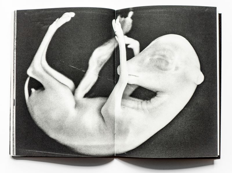 © Jean-Marc Caimi & Valentina Piccinni - Image from the Umana Natura photography project