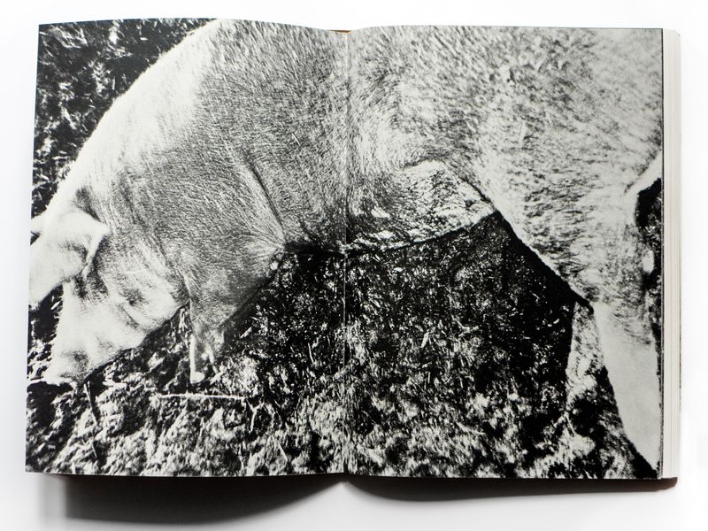 © Jean-Marc Caimi & Valentina Piccinni - Image from the Umana Natura photography project