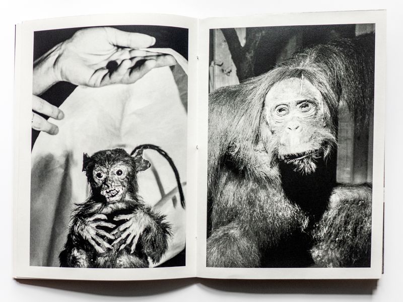 © Jean-Marc Caimi & Valentina Piccinni - Image from the Umana Natura photography project