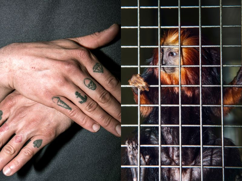 © Jean-Marc Caimi & Valentina Piccinni - Image from the Franchement photography project