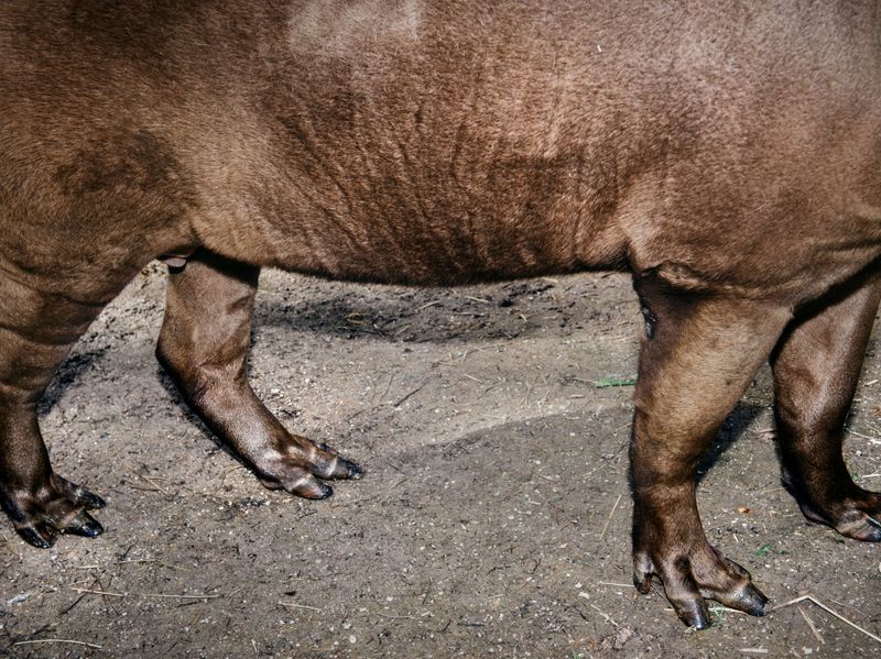 © Jean-Marc Caimi & Valentina Piccinni - Image from the Franchement photography project