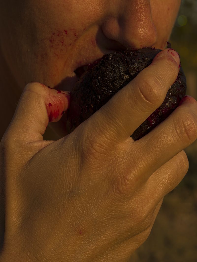 © Tomaso Clavarino - Image from the Ballad of Woods and Wounds photography project