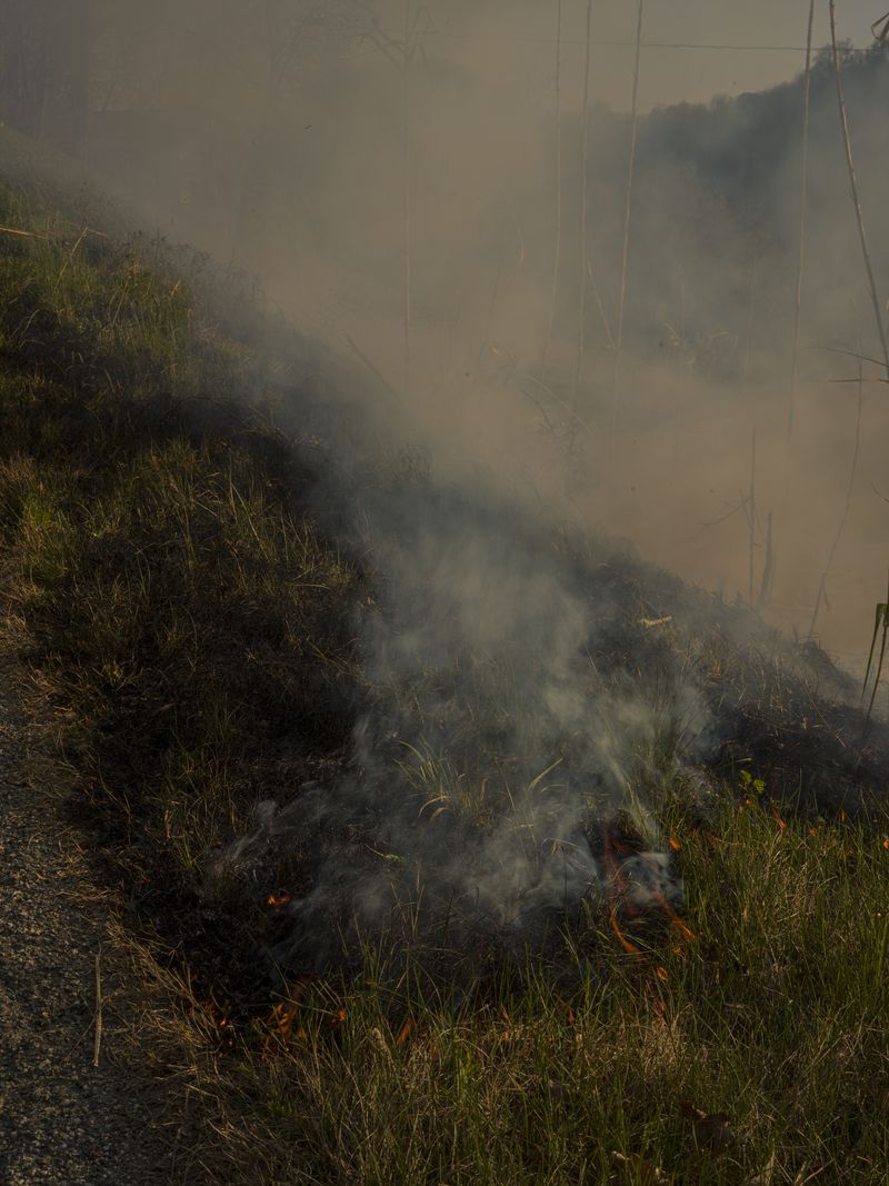 © Tomaso Clavarino - Image from the Ballad of Woods and Wounds photography project