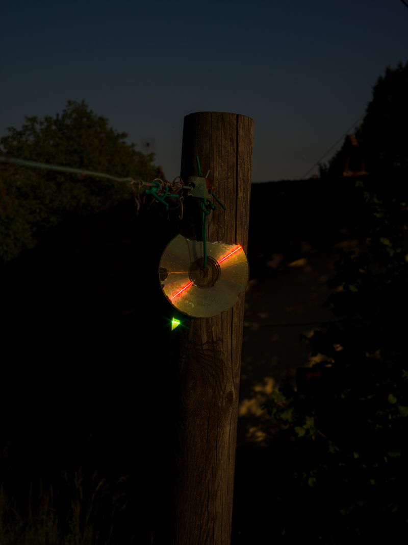 © Tomaso Clavarino - Image from the Ballad of Woods and Wounds photography project