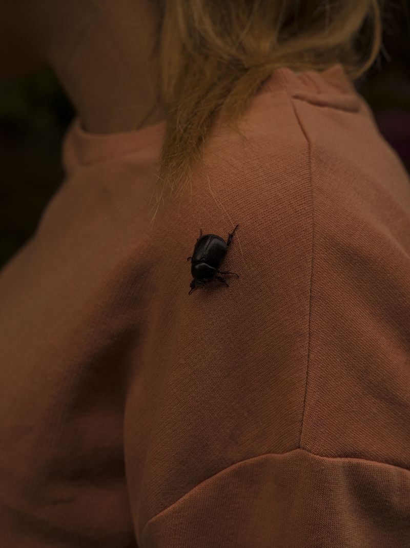 © Tomaso Clavarino - Image from the Ballad of Woods and Wounds photography project
