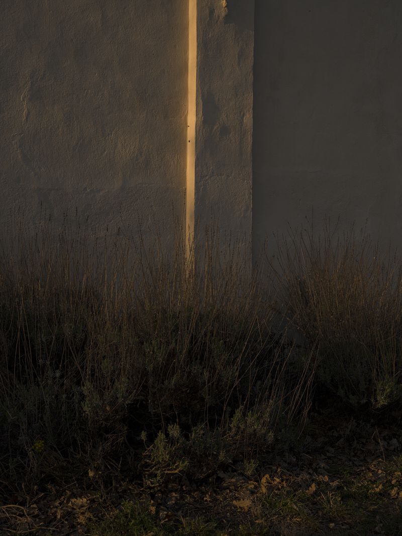 © Tomaso Clavarino - Image from the Ballad of Woods and Wounds photography project