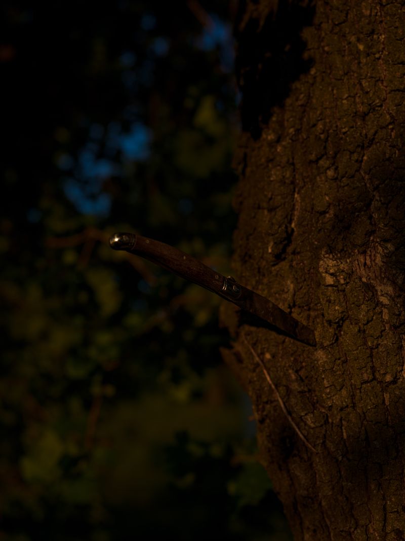 © Tomaso Clavarino - Image from the Ballad of Woods and Wounds photography project