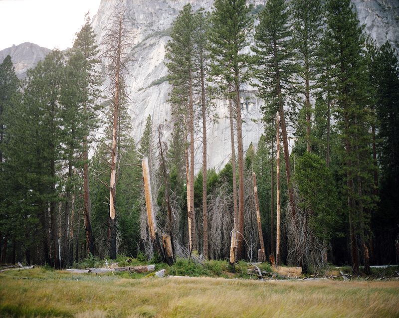 © Maya Meissner - Image from the The Cedar Lodge photography project