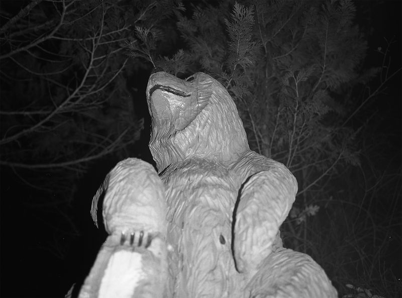 © Maya Meissner - Image from the The Cedar Lodge photography project