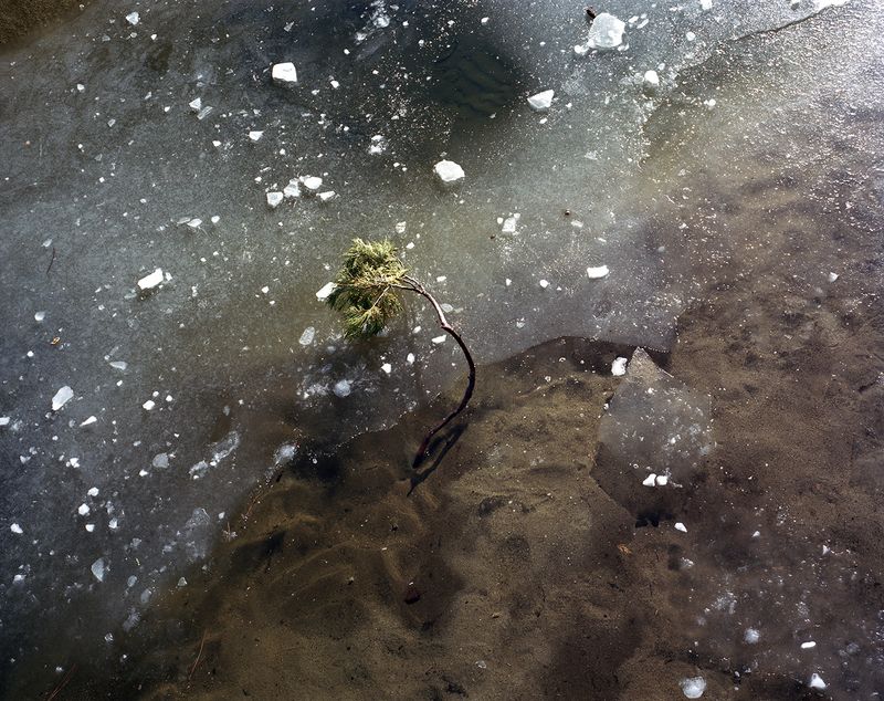 © Maya Meissner - Image from the The Cedar Lodge photography project