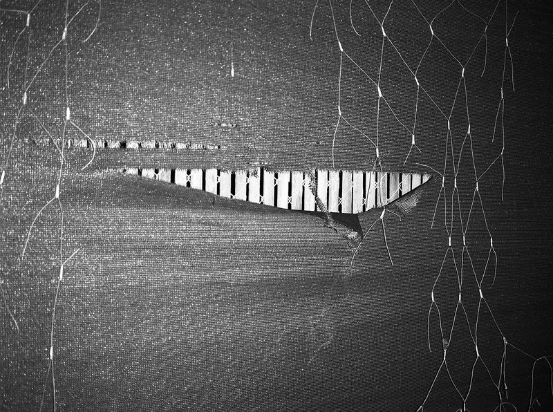 © Maya Meissner - Image from the The Cedar Lodge photography project