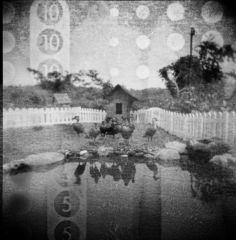 © idealita ismanto - Image from the Short Term Memories photography project