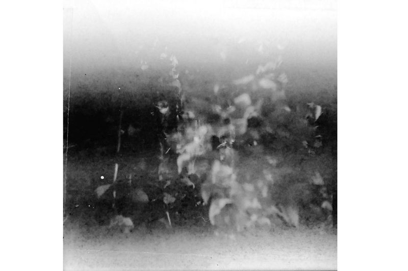 © idealita ismanto - Image from the Short Term Memories photography project