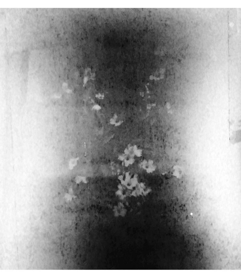 © idealita ismanto - Image from the Short Term Memories photography project