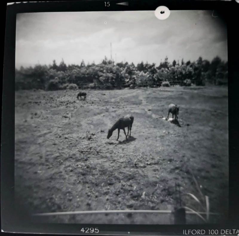 © idealita ismanto - Image from the Short Term Memories photography project