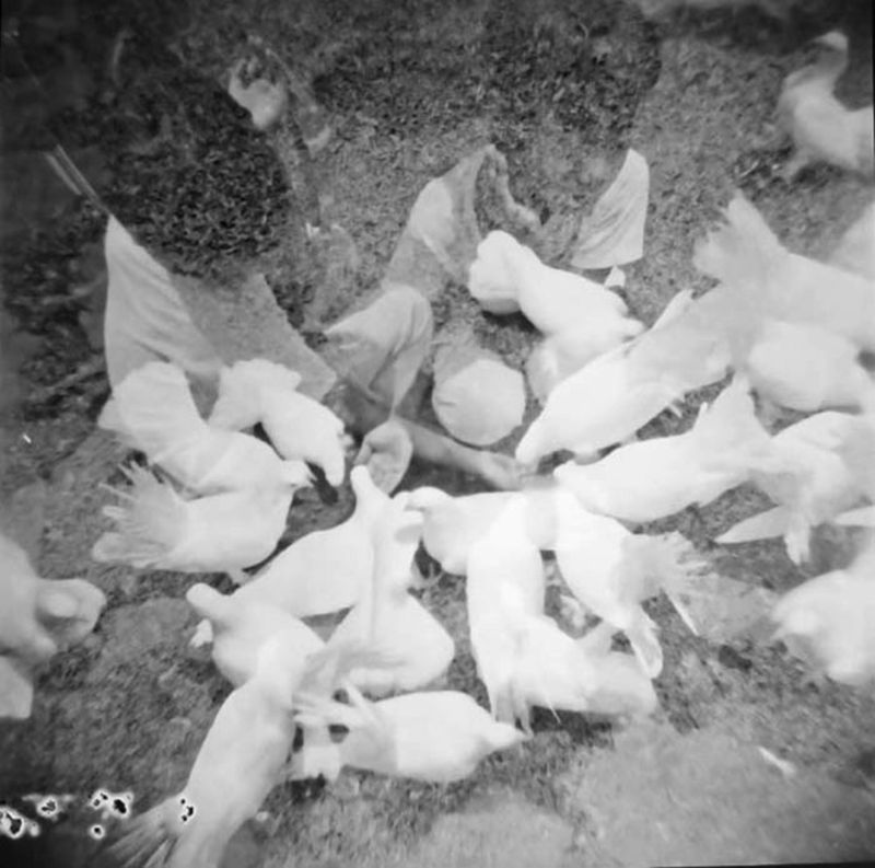 © idealita ismanto - She played with many pigeons in one of the parks in Malang. She really loves animals.