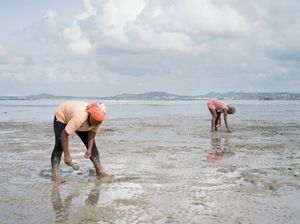 A Story on Oil, Pollution and Racism