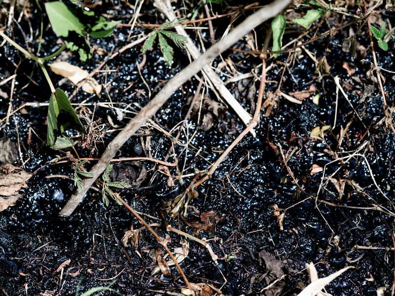 © Tommaso Rada - Image from the A Story on Oil, Pollution and Racism photography project