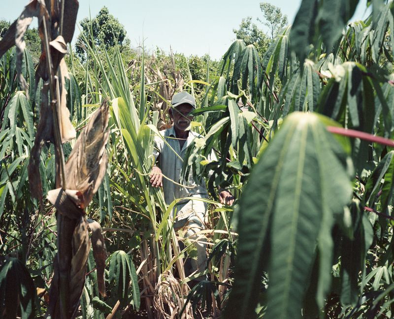 © Tommaso Rada - Image from the Estamos na Luta photography project