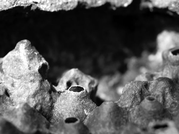 © Tommaso Rada - Image from the The Planet Bee: Meliponiculture in the Amazon Rainforest photography project