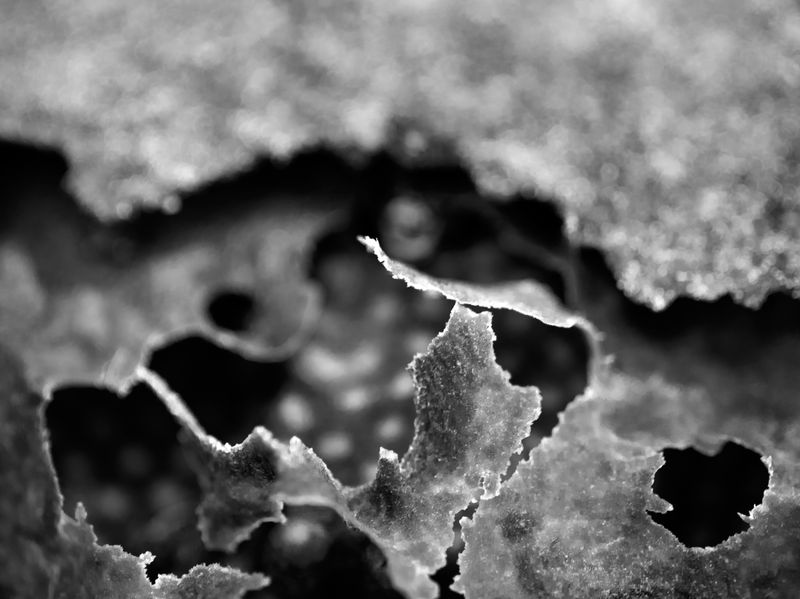 © Tommaso Rada - Image from the The Planet Bee: Meliponiculture in the Amazon Rainforest photography project