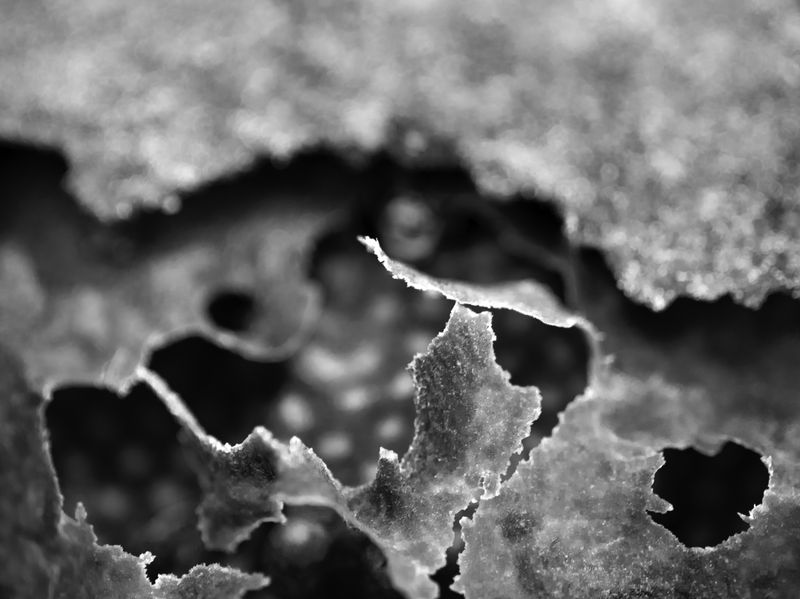 © Tommaso Rada - Image from the The Planet Bee: Meliponiculture in the Amazon Rainforest photography project